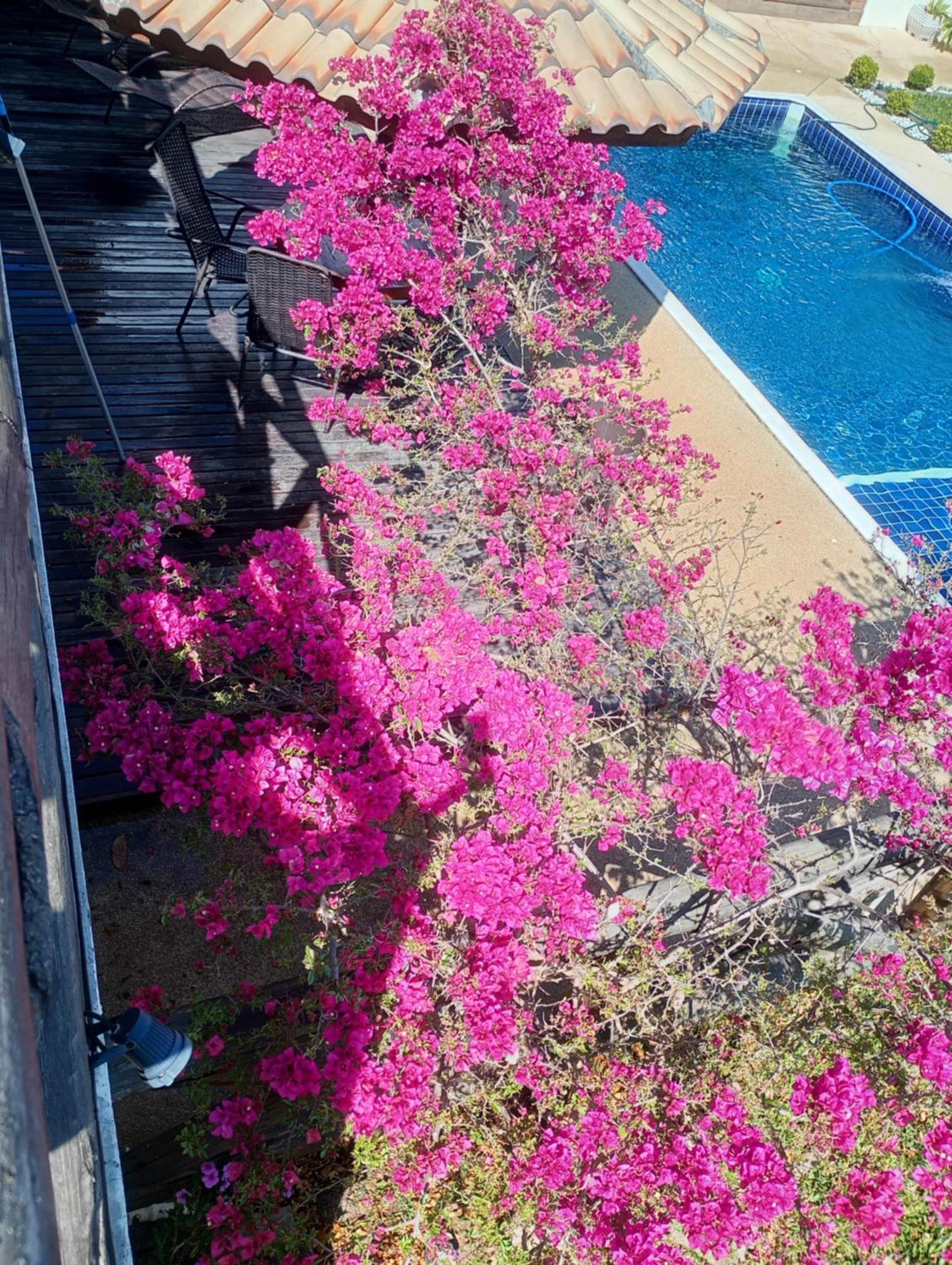 Chacara Alto Padrao Em Igarata Villa ภายนอก รูปภาพ